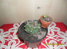 SAM_9680