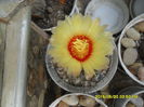SAM_9558