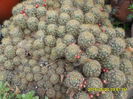SAM_9564
