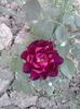 20150601_182140