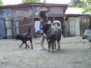 DSC03911