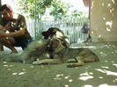 DSC04402