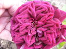 P1240577