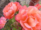 P1240580
