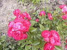 P1240583