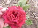 P1240589
