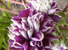 P1240596