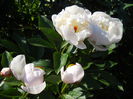 DSCN7386