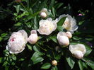 DSCN7399