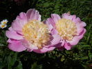 DSCN7408
