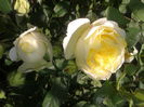 20150602_072045