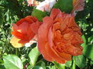 20150602_072826
