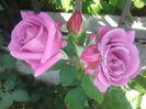 20150602_071908