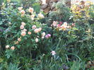 DSCN7351