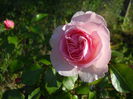 DSCN7379