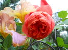 DSCN7425