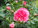 DSCN7433