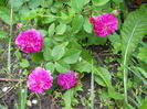DSCN7463