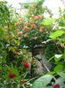 DSC08749