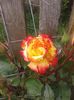 20150530_174212