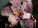 SAM_5595