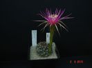 DSC08784