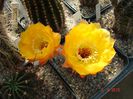 DSC08809