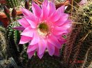 DSC08835