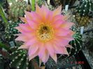 DSC08850