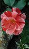 20150601_195502[1]