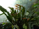 DSCN8661