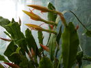 DSCN8670
