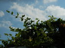 DSCN8672
