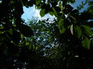 DSCN8708