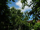 DSCN8728