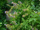 DSCN8736