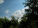 DSCN8744