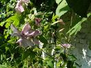 DSCN8751