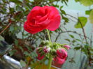 DSCN8762