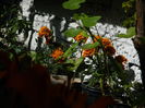 DSCN8771