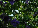 DSCN8773