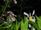 DSCN8832