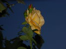DSCN8837