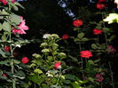 DSCN8844