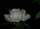 DSCN8852