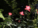 DSCN8859