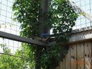 DSC09691