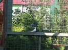 DSC09765