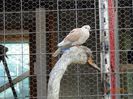 DSC09790