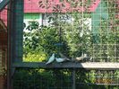 DSC09911